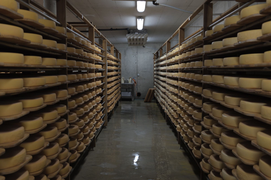 DSCF1037.webp