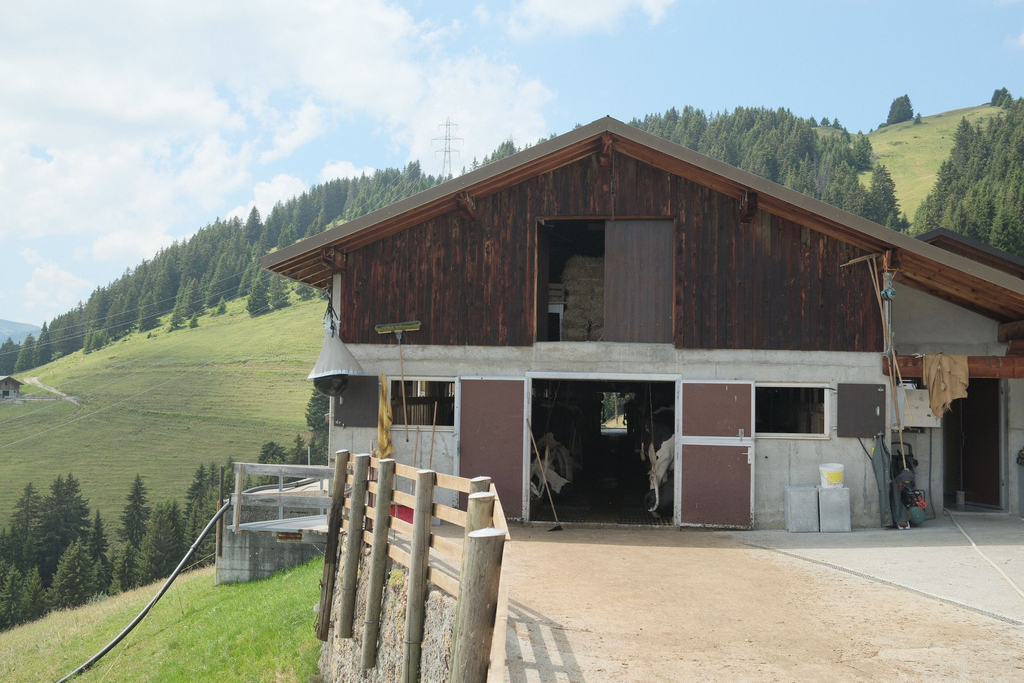 DSCF1051.webp